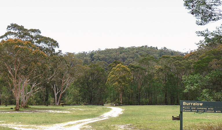 Burralow Creek campground, Blue Mountains National Park. Photo: Steve Alton/OEH