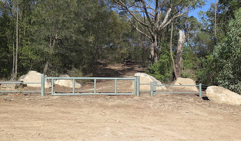 Carpark and locked gate at track head to Vale of Avoca lookout, Blue Mountains National Park. Photo: Elinor Sheargold/OEH