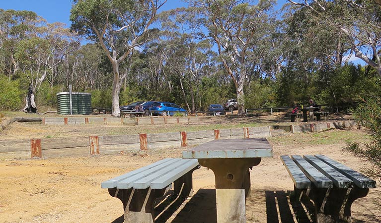 Mount Banks picnic area, Blue Mountains National Park. Photo: E Sheargold/OEH.