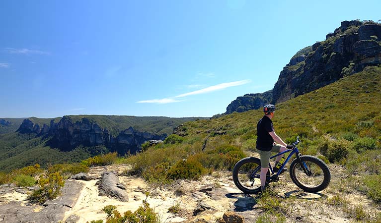 A bike rider and views on Mount Banks Road trail, Blue Mountains National Park. Photo: E Sheargold/OEH.