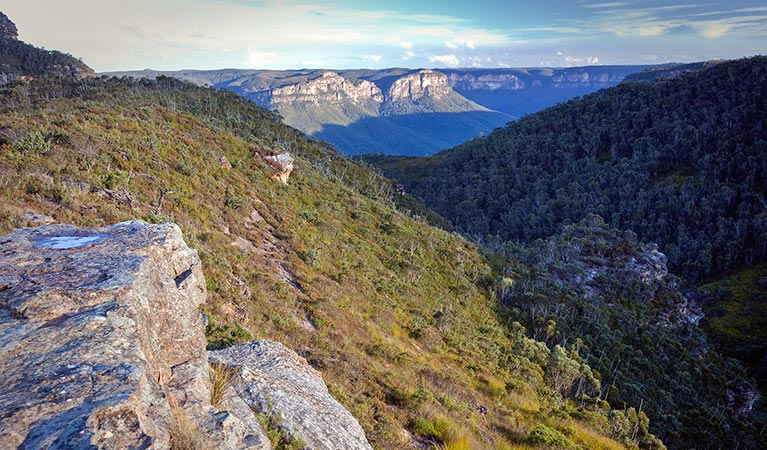 Views along Mount Banks Summit walk, Blue Mountains National Park. Photo: Nick Cubbin/OEH