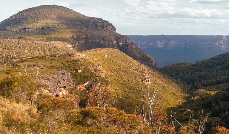 Afternoon sun on Mount Banks, Blue Mountains National Park. Photo: Craig Marshall/OEH