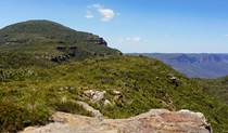 View of woodland, open heath and mountain peak, looking toward Claustral Canyon. Photo credit: Stephen Alton &copy; DPE