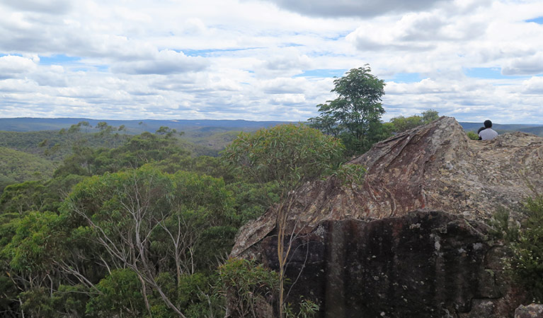 Du Faurs Rocks lookout, Mount Wilson, Blue Mountains National Park. Photo: E Sheargold/OEH.