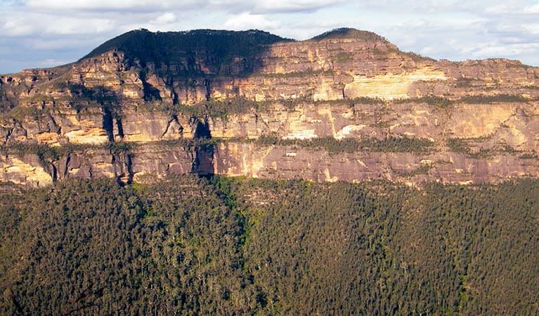View of Mount Banks from Perrys Lookdown, in Blue Mountains National Park. Photo: Steve Alton &copy; Steve Alton and DPIE