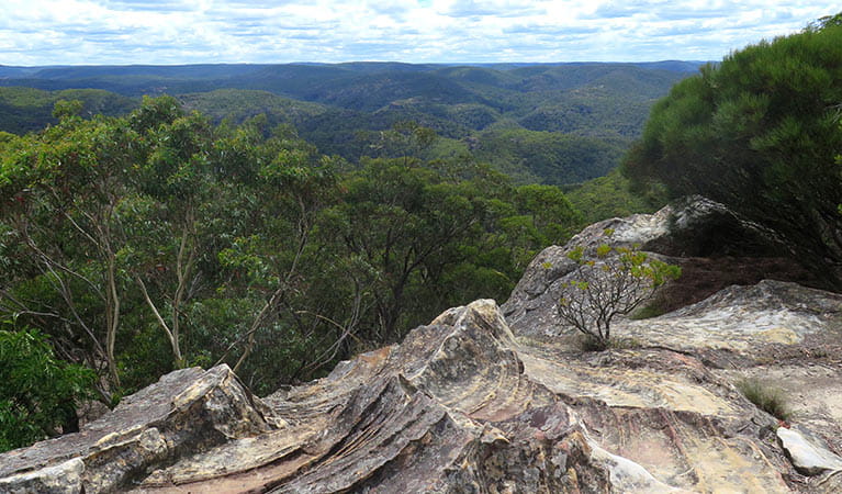 Du Faurs Rocks lookout views of Wollangambe wilderness, Blue Mountains National Park. Photo: E Sheargold/OEH.