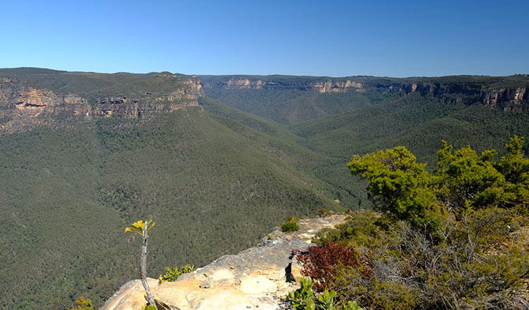 Grose Valley seen from Mount Banks Road trail, Blue Mountains National Park. Photo: E Sheargold/OEH