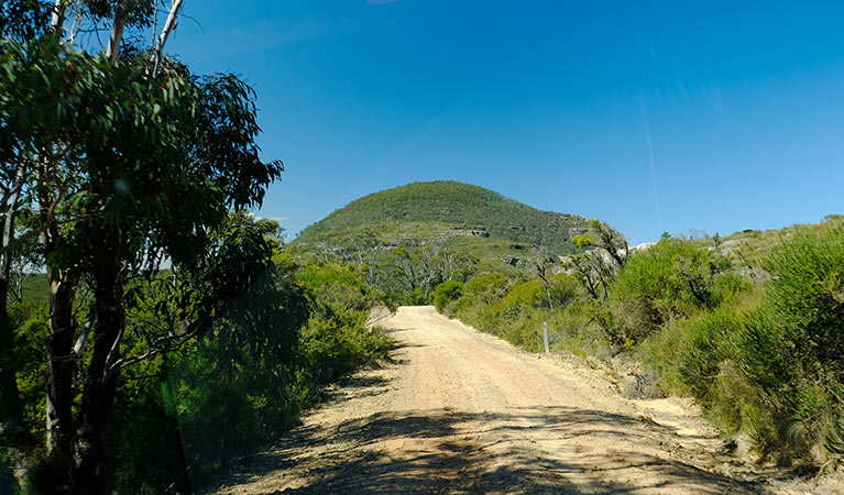 View of Mount Banks near picnic area, Blue Mountains National Park. Photo: Elinor Sheargold &copy; OEH