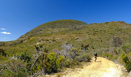 Cyclist on Mount Banks Road ride, Blue Mountains National Park. Photo: E Sheargold/OEH.