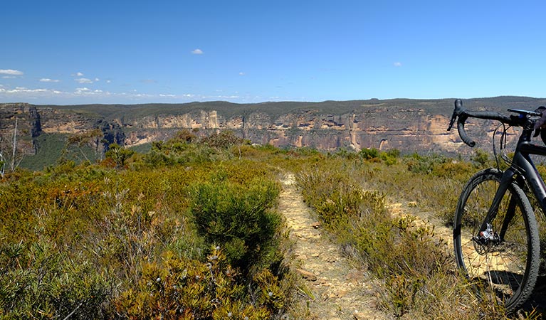 Heathland along Mount Banks Road cycle route, Blue Mountains National Park. Photo: E Sheargold/OEH.