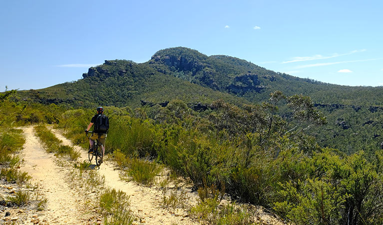 A cyclist on Mount Banks Road trail extension, Blue Mountains National Park. Photo: E Sheargold/OEH