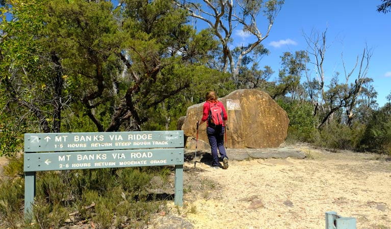 Hikers at start of Mount Banks Summit walking track, Blue Mountains National Park. Photo: Elinor Sheargold &copy; OEH