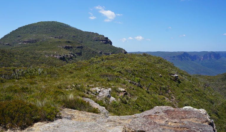 Mount Banks Summit walk, Blue Mountains National Park. Photo: Steve Alton &copy; OEH