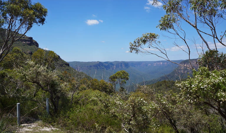 Views from Mount Banks picnic area, Blue Mountains National Park. Photo: Steve Alton &copy; OEH