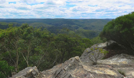 From Du Faurs lookout, view over rock ledge to forest-clad ridges and valleys of the Wollangambe and Wollemi Wilderness Areas. Photo credit: Elinor Sheargold &copy; DPE