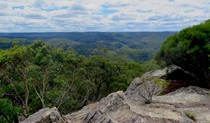 View from rocky ledge of Du Faurs lookout across the rugged and remote Wollangambe area.  Photo credit: Elinor Sheargold &copy; DPIE