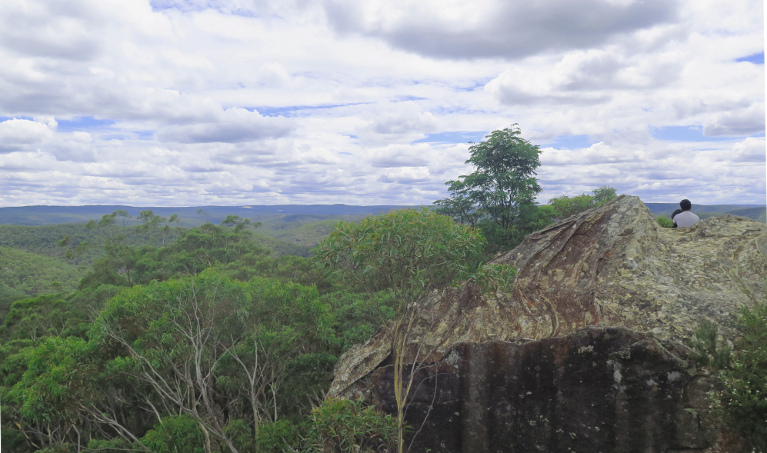 View of Du Faurs lookout, looking across to the rugged and remote landscape of the Wollangambe area.  Photo credit: Elinor Sheargold &copy; DPIE