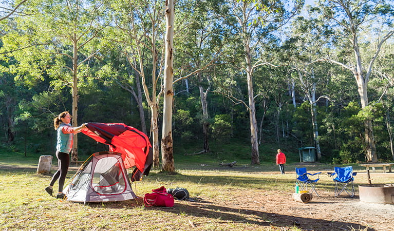 Camper sets up a tent in the Darug section of Euroka campground. Photo: Simone Cottrell &copy; DPIE