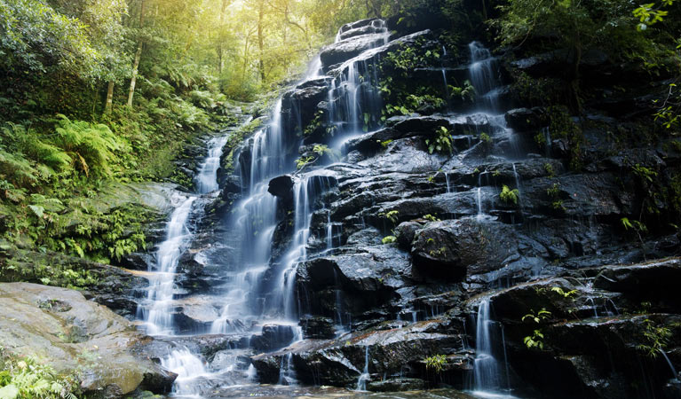 Sylvia Falls, Valley of the Waters, Wentworth Falls area in Blue Mountains National Park. Photo: David Finnegan &copy; David Finnegan