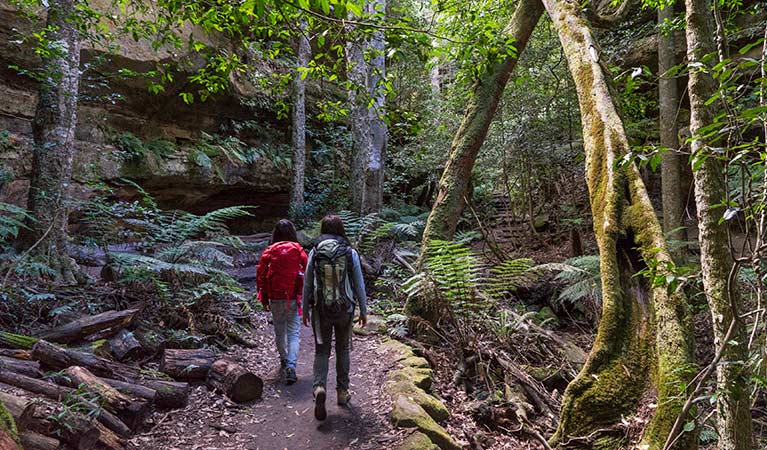 Blue Mountains National Park Nsw National Parks