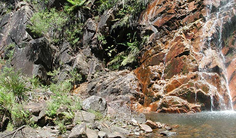 Ruby Creek near Mount Werong campground, Blue Mountains National Park. Photo: Jules Bros/OEH