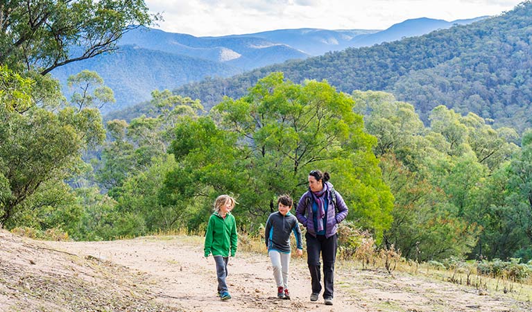 A family walk up Carlons Creek track, near Dunphys campground, Blue Mountains National Park. Photo: Simone Cottrell/OEH. 