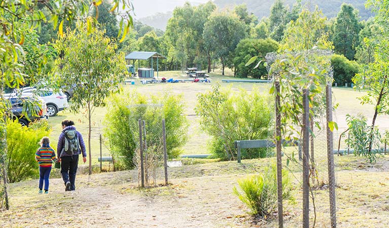 Cars parked at Dunphys campground, Blue Mountains National Park. Photo: Simone Cottrell/OEH.