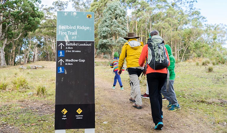 A family walk along Bellbird Ridge fire trail, Blue Mountains National Park. Photo: Simone Cottrell/OEH