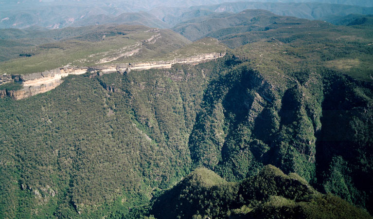 Kanangra-Boyd Lookout, Kanangra-Boyd National Park. Photo: Steve Alton/NSW Government