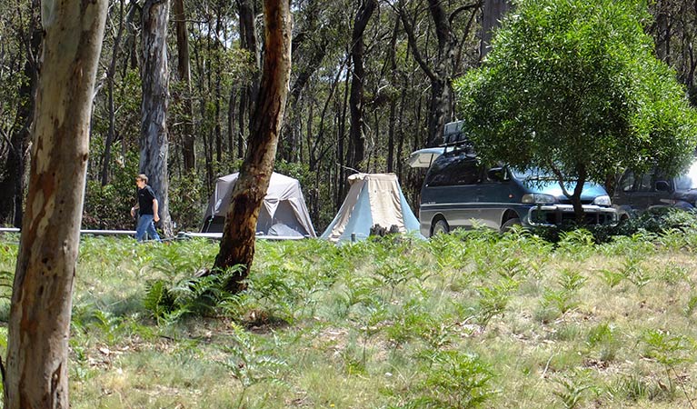 Mount Werong campground, Blue Moutnains National Park. Photo: J Bros/OEH.