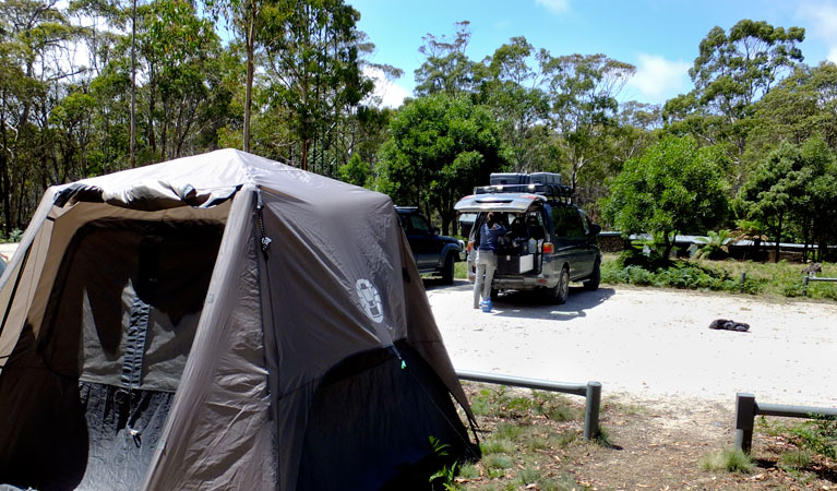 Mount Werong campground, Blue Mountains National Park. Photo: J Bros/ OEH.