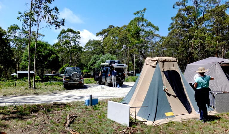 Mount Werong campground, Blue Mountains National Park. Photo: J Bros/OEH.