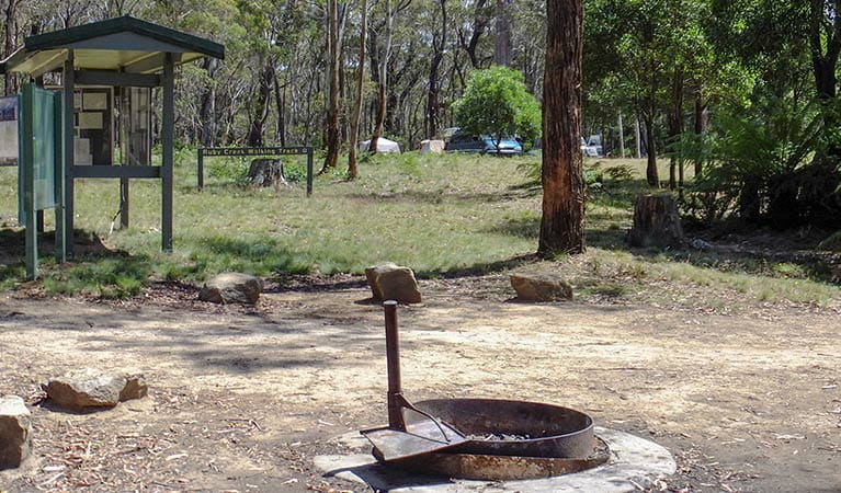 Fire ring at Mount Werong campground, Blue Mountains National Park. Photo: Jules Bros/OEH