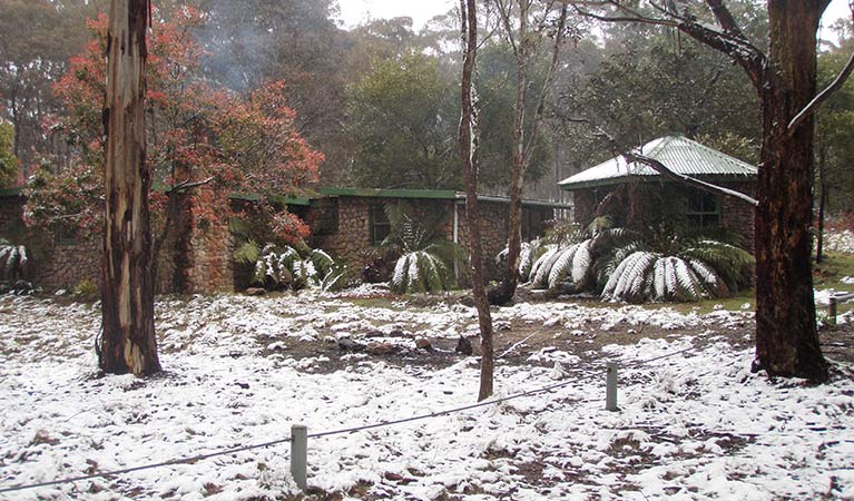 Snow at Mount Werong campground, Blue Mountains National Park. Photo: Jules Bros/OEH