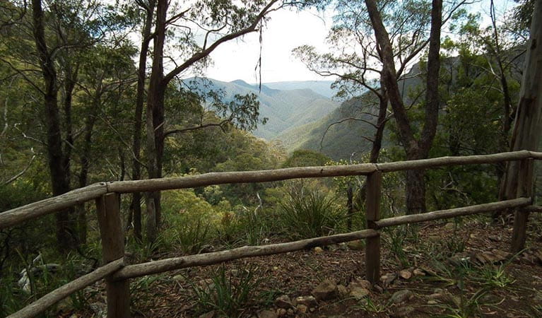 Mountain vista framed by trees along Ruby Creek walking track, in the Southern Blue Mountains area of Blue Mountains National Park.  Photo: Jules Bros/DPIE