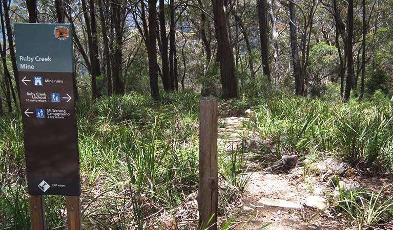 Park signage alongside Ruby Creek walking track.  Photo: Jules Bros &copy; OEH