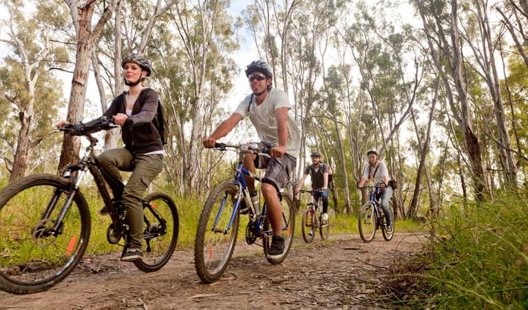 Six Foot Track Guided Mountain Bike Ride, Blue Mountains National Park. Photo: David Finnegan/OEH