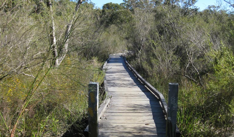 Falcon Crescent boardwalk, Bomaderry Creek Regional Park