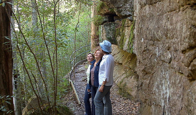 Bushwalkers on a walking track in Bomaderry Creek Regional Park. Photo: Michael Van Ewijk &copy; DPIE