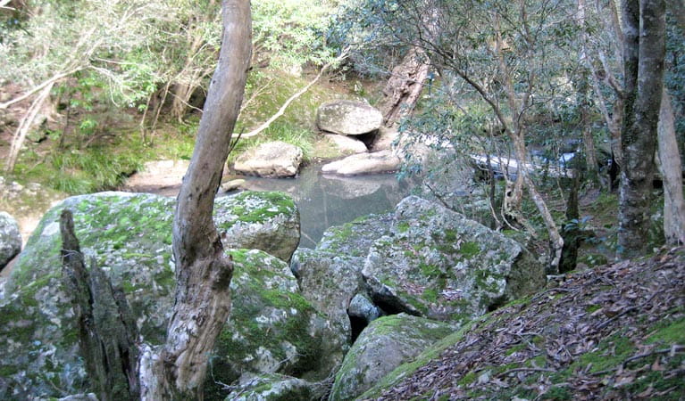 She Oak rocks, Bomaderry Creek Regional Park
