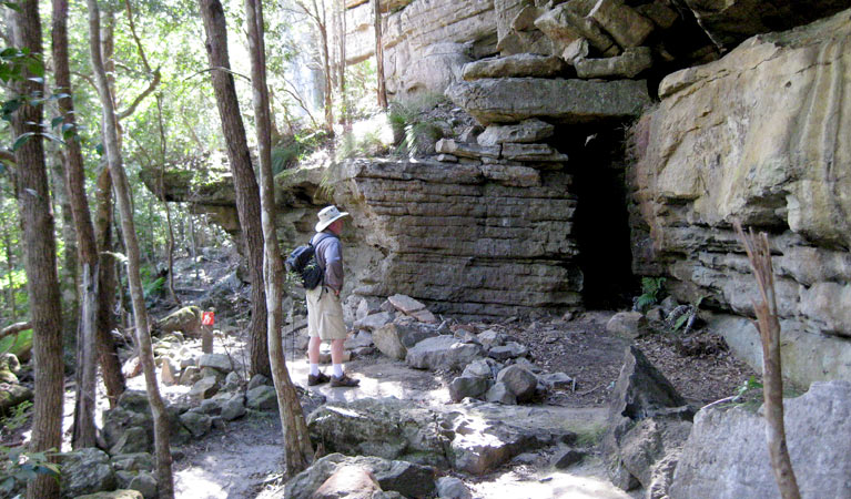 She Oak rock layers, Bomaderry Creek Regional Park