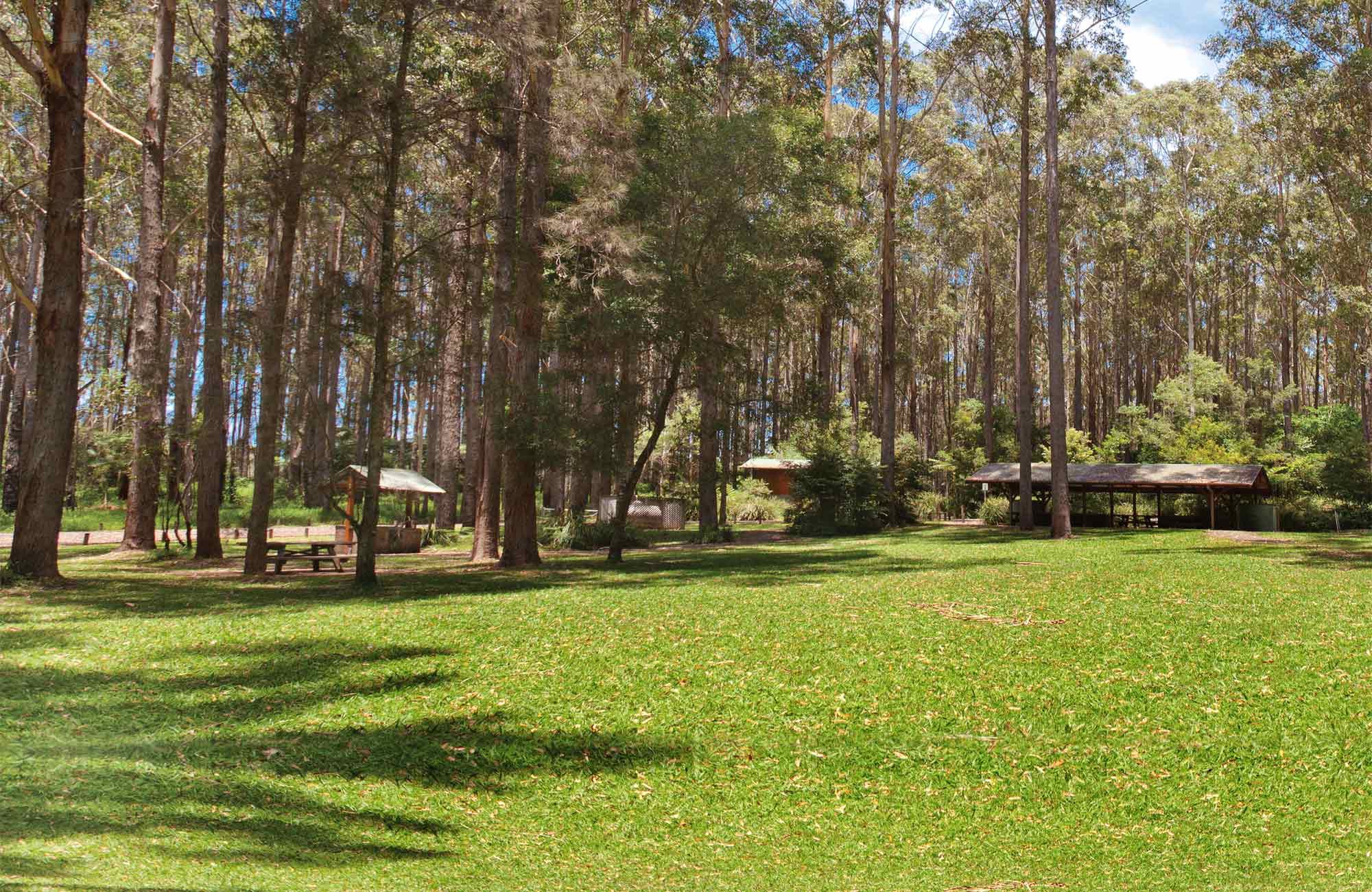 The picnic area. Photo: Rob Cleary 