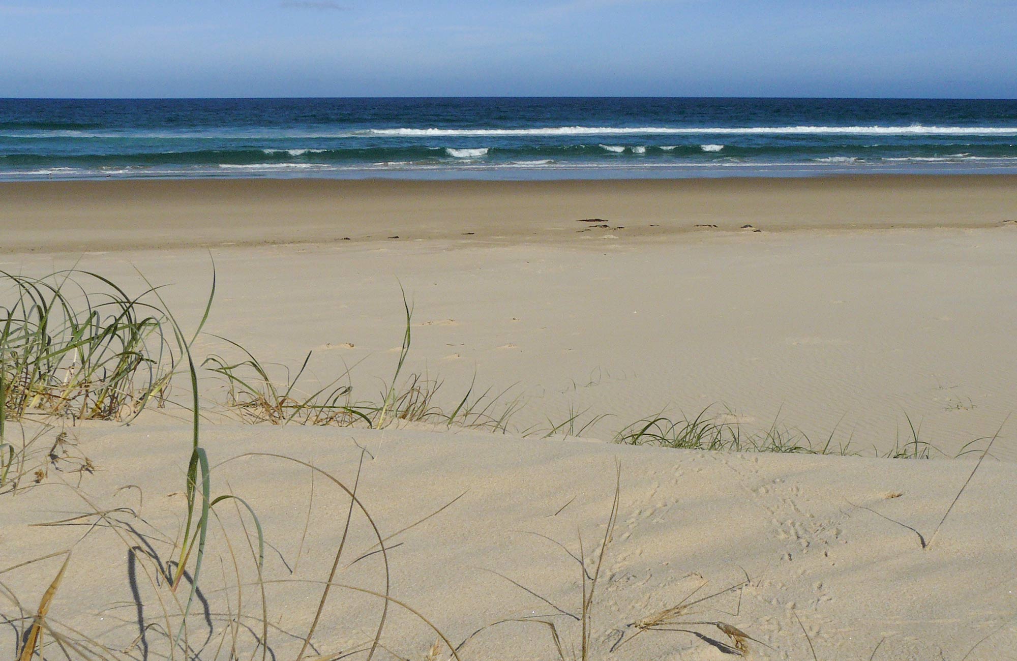 Bongil Beach NSW National Parks Bongil Beach NSW National Parks