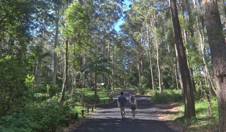 A couple walking down the road towards Bongil picnic area in Bongil Bongil National Park. Photo: Simon Grant &copy; DPE