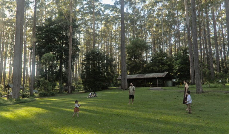 A family playing on the grass at Bongil picnic area in Bongil Bongil National Park. Photo: Simon Grant &copy; DPE