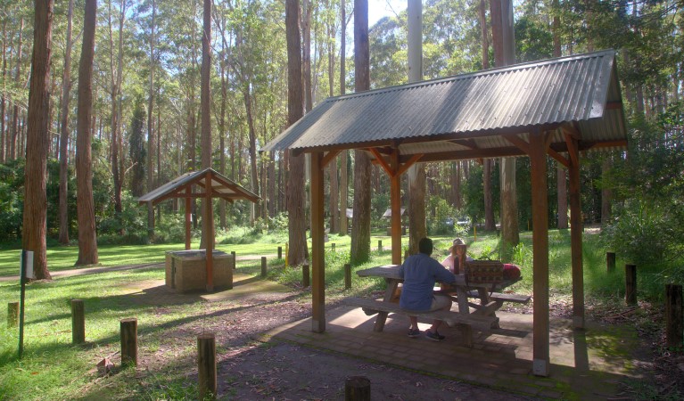 A couple at a picnic shelter at Bongil picnic area in Bongil Bongil National Park. Photo: Simon Grant &copy; DPE