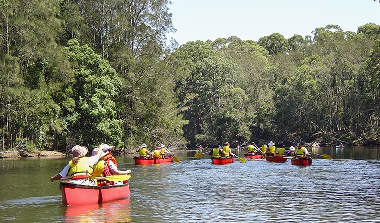 Bonville Creek, Bongil Bongil National Park. Photo &copy; Andrew Turbill