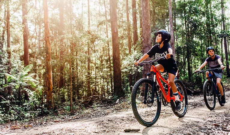 2 children ride through sunlit forest along one of the Muurlay Baamgala cycle trails. Photo: Jay Black/DPIE