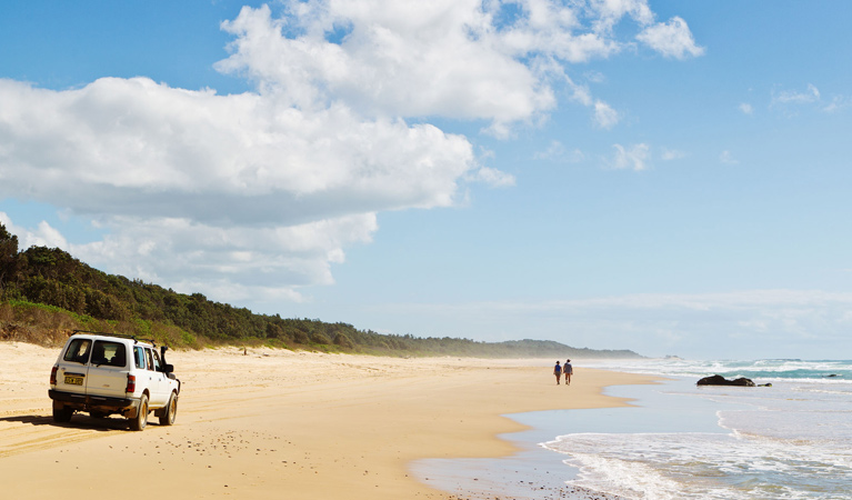 4WD vehicle on the beach, Bongil Bongil National Park. Photo: Rob Cleary