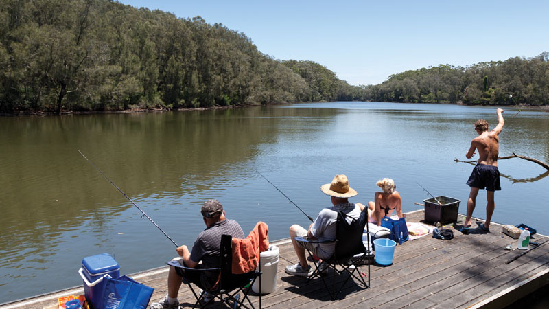 Fishing, Bongil Bongil National Park. Photo: Rob Cleary